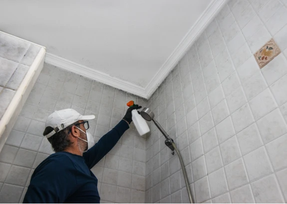 Removing mold from tiled shower wall